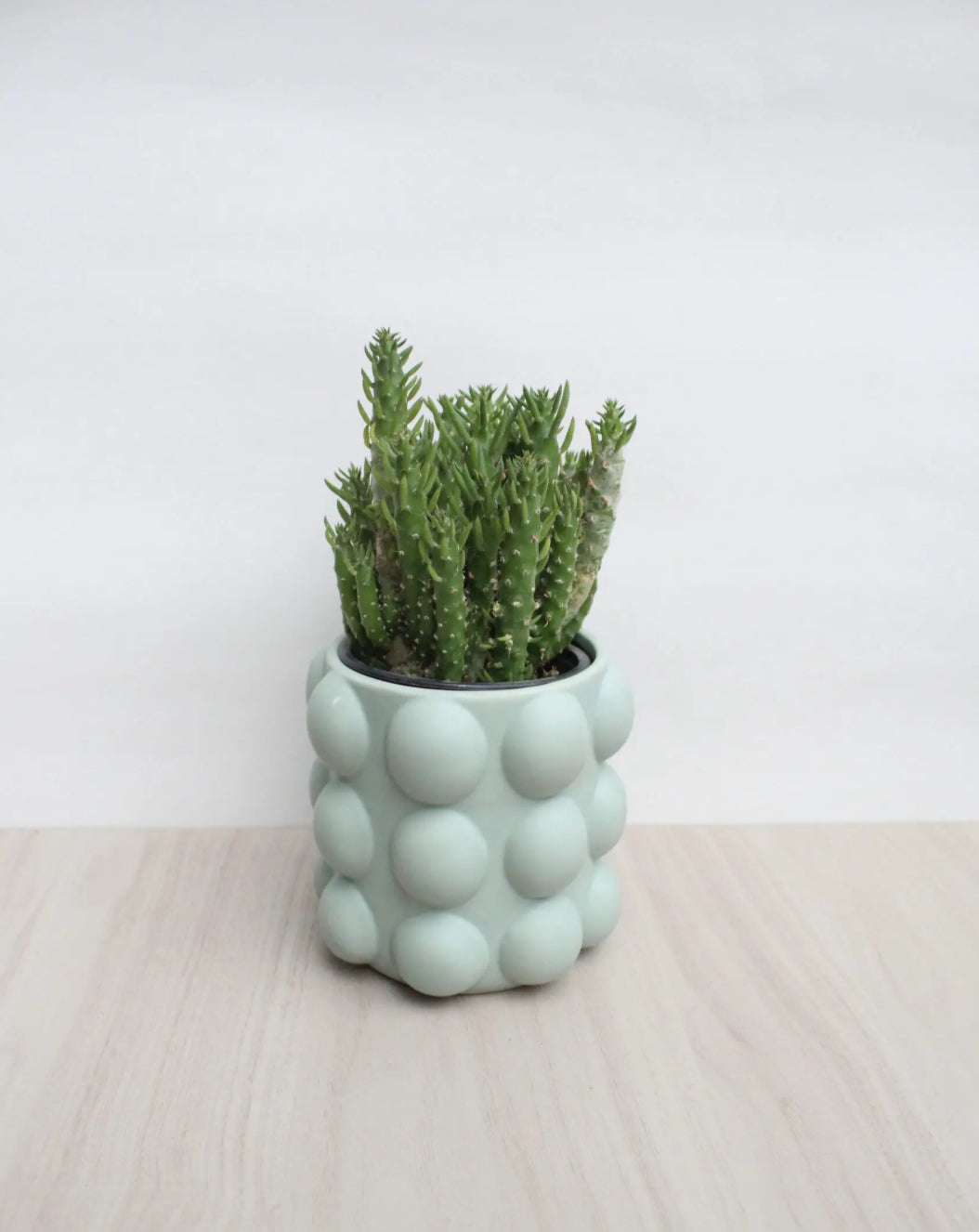 Macetero burbuja verde agua S