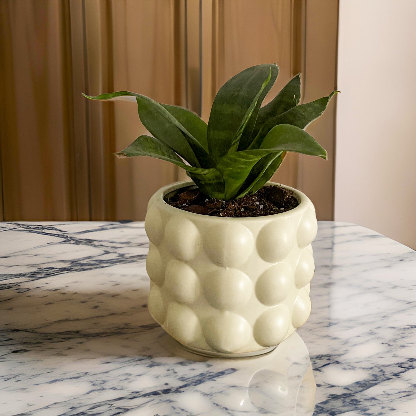 Macetero burbuja crema M