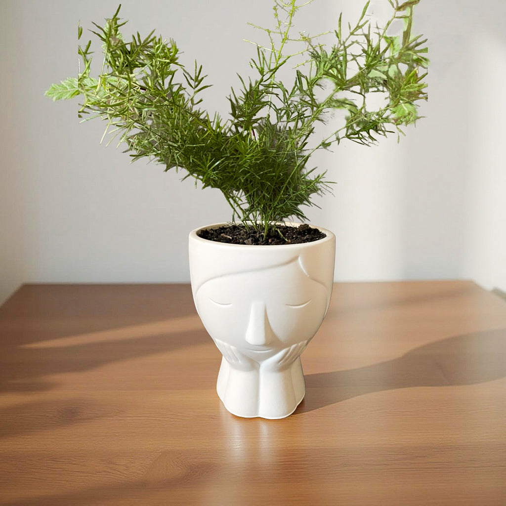 Helecho en maceta mujer