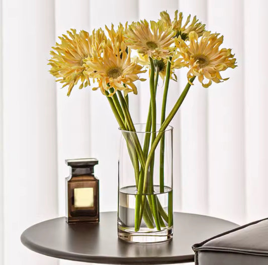 Floreros transparente cilíndrico