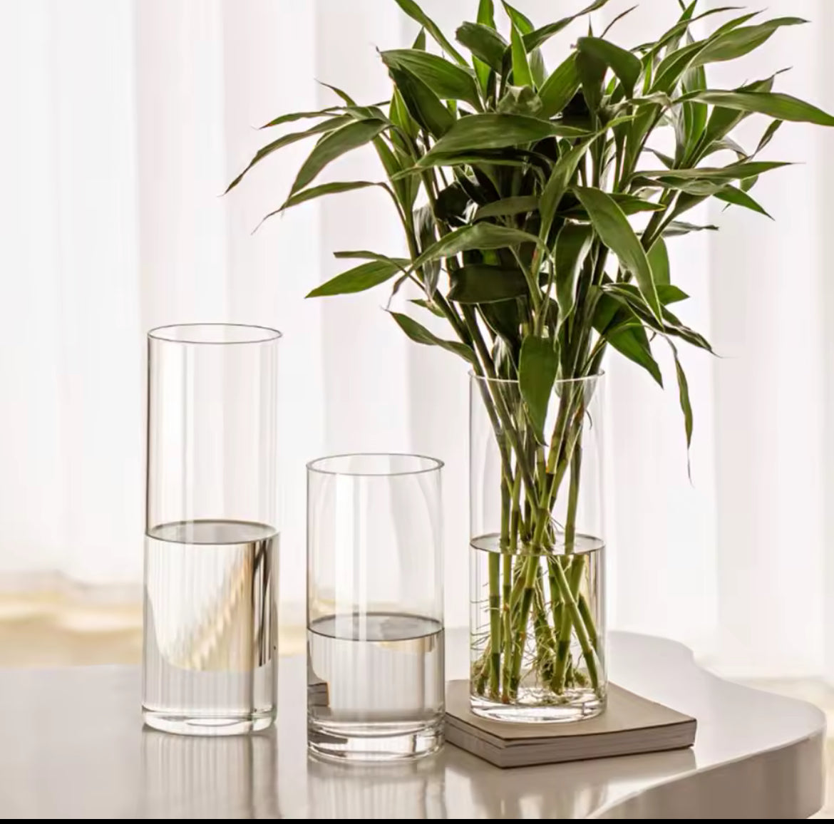 Floreros transparente cilíndrico