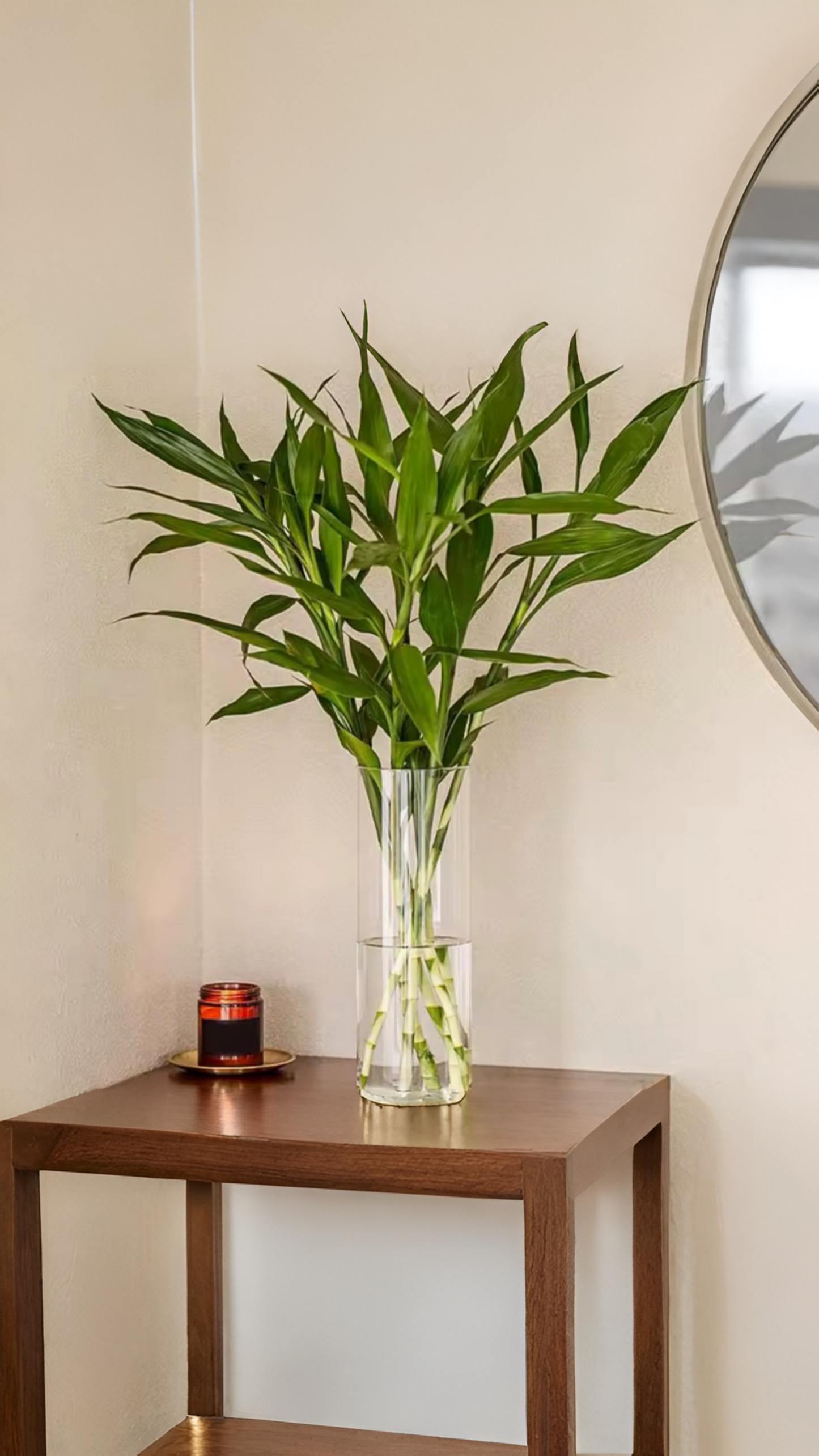 Floreros transparente cilíndrico